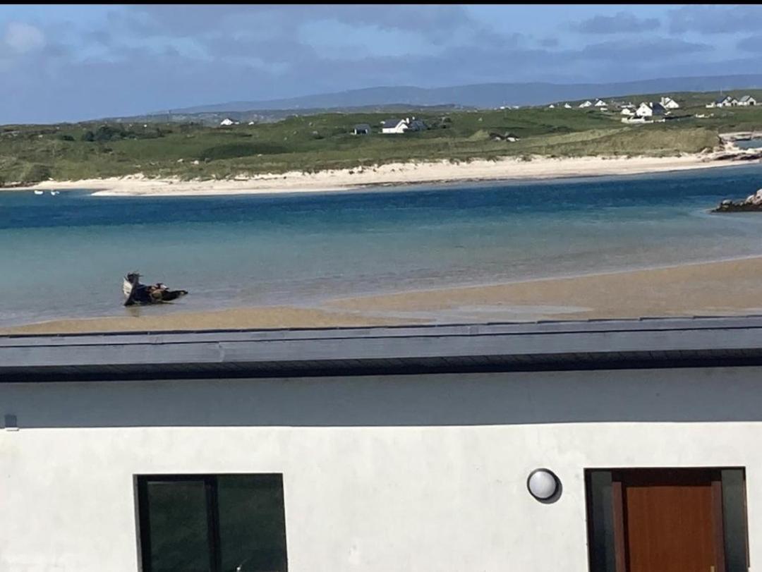 Ostan Gweedore Deluxe Apartments Bunbeg Εξωτερικό φωτογραφία